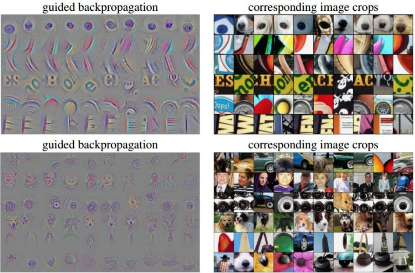 Examples of guided backpropagation, from [this paper](https://arxiv.org/pdf/1412.6806.pdf).